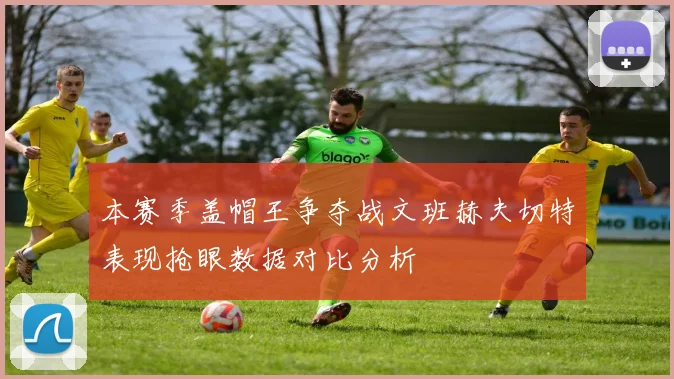 本赛季盖帽王争夺战文班赫夫切特表现抢眼数据对比分析