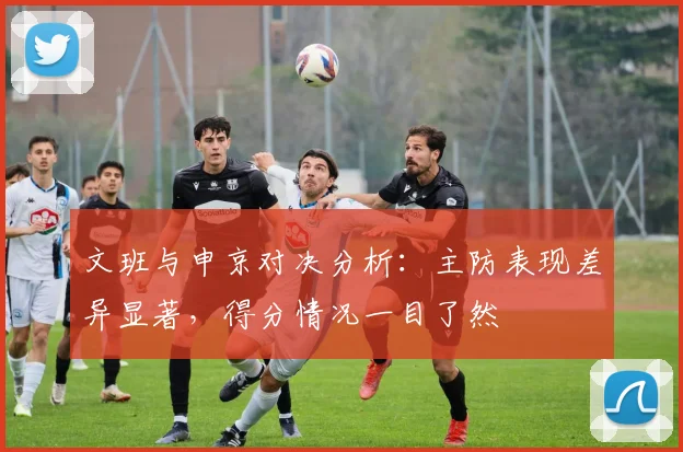 文班与申京对决分析：主防表现差异显著，得分情况一目了然