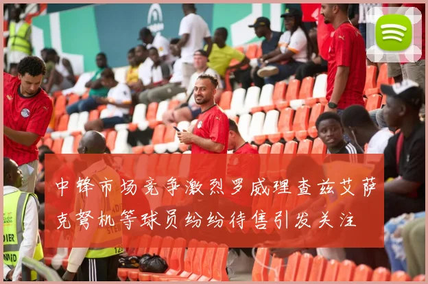 中锋市场竞争激烈罗威理查兹艾萨克弩机等球员纷纷待售引发关注