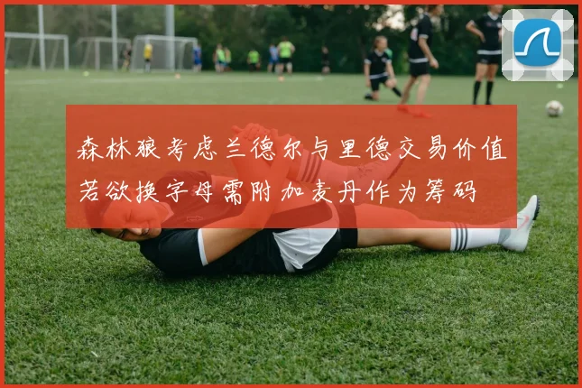 森林狼考虑兰德尔与里德交易价值若欲换字母需附加麦丹作为筹码