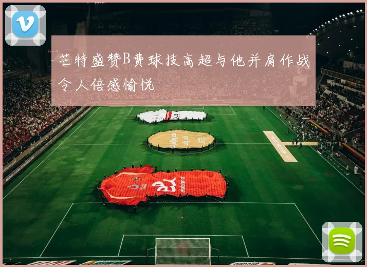 芒特盛赞B费球技高超与他并肩作战令人倍感愉悦